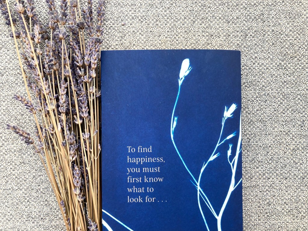 Back cover of A Quiet Tide by Marianne Lee, historical fiction novel.