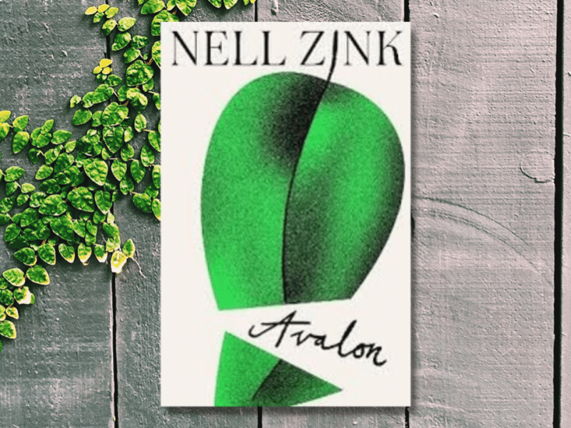 Book Review – Avalon by Nell&nbsp;Zink