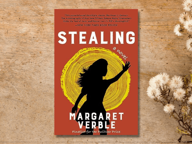 Book Review – Stealing by Margaret&nbsp;Verble
