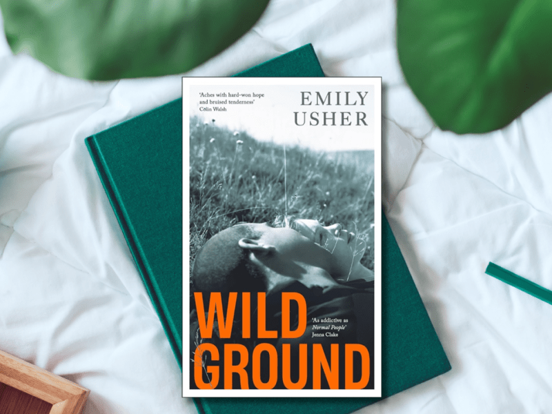 Book Review – Wild Ground by Emily&nbsp;Usher