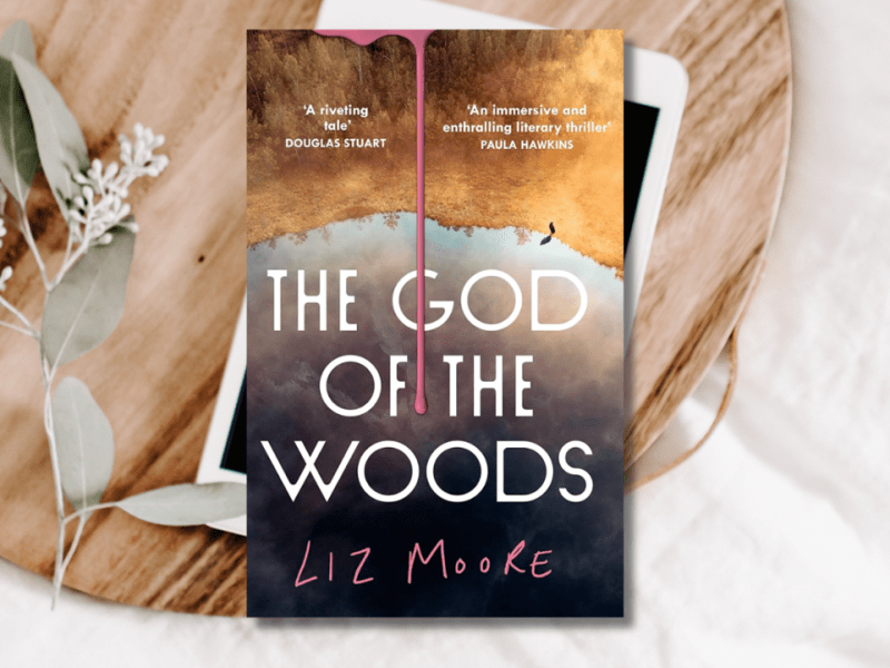 Book Review – The God of the Woods by Liz&nbsp;Moore